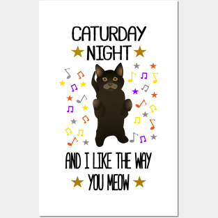 Caturday Night Posters and Art